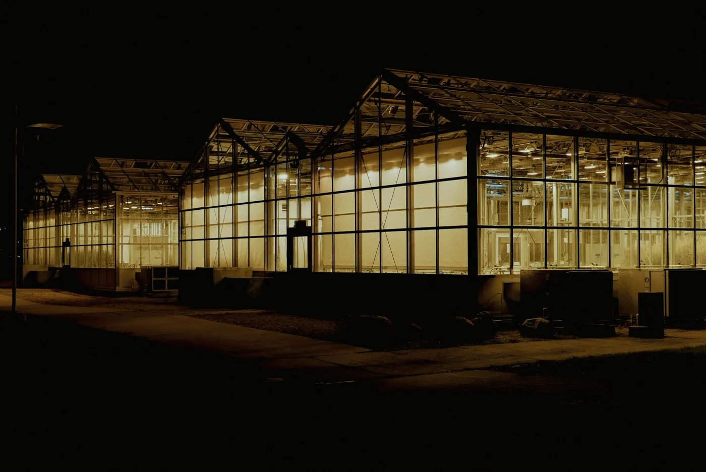 Commercial glasshouse cultivation facility glowing with warm light at night