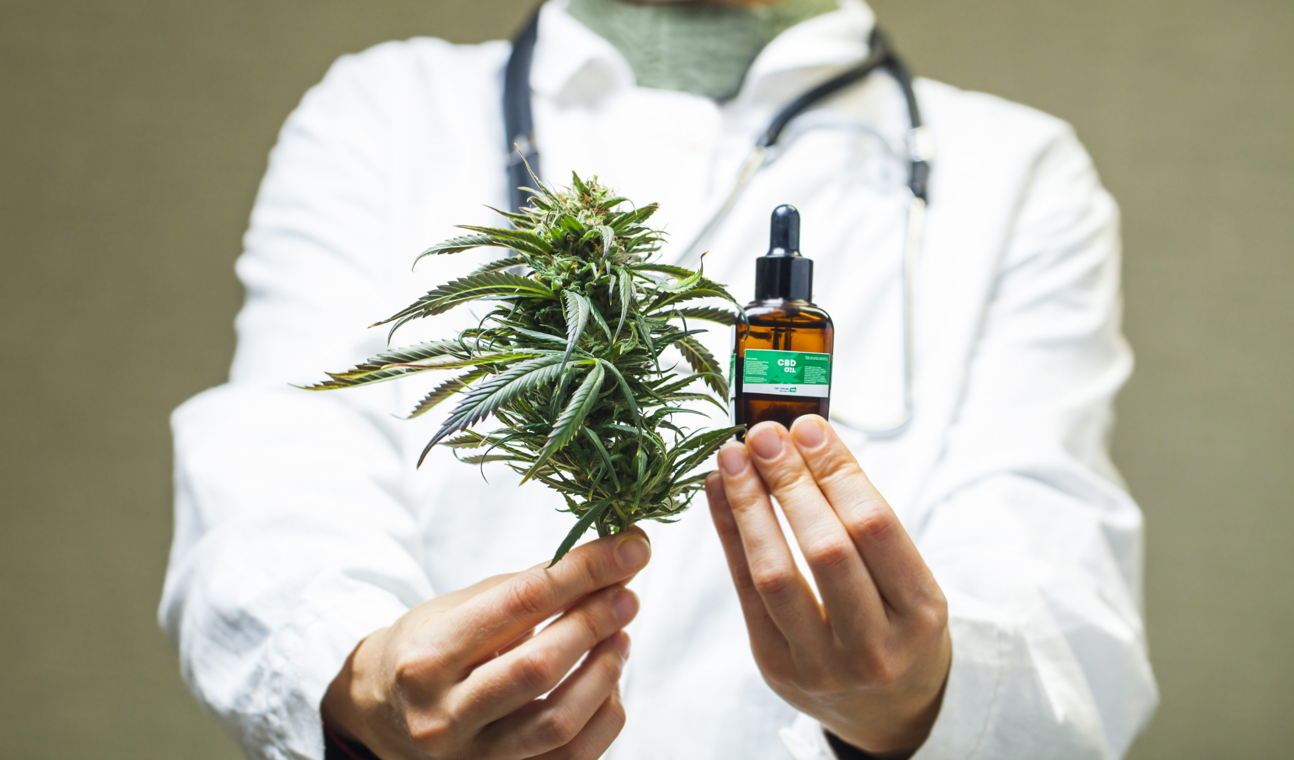You are currently viewing How to Find the Right Medical Cannabis Doctor For You.