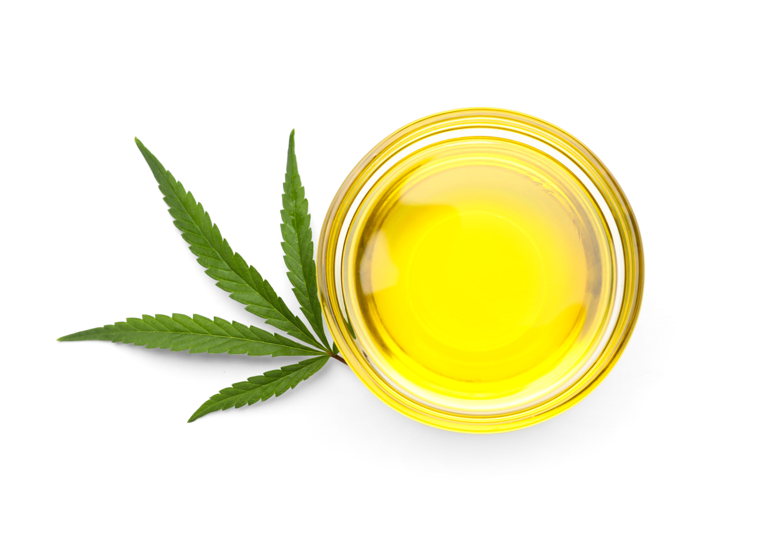 How to Make Cannabis Cooking Oil.