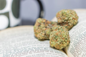 Read more about the article The Best Weed Reads to Build Your Cannabis Library.