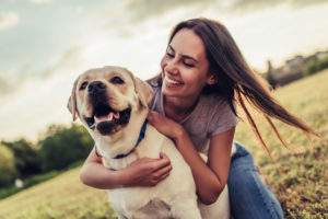 Read more about the article CBD Can Stop Brain Cancer in Humans and Dogs, Study Finds.