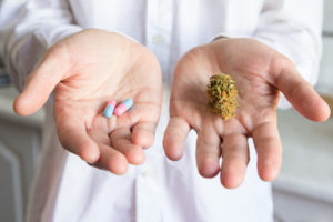 Doctors Prescribe Certain Opioids 20% Less in Medical Marijuana States, Study Finds.