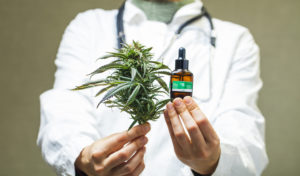 More Patients Turing to Medical Marijuana for Arthritis Pain.