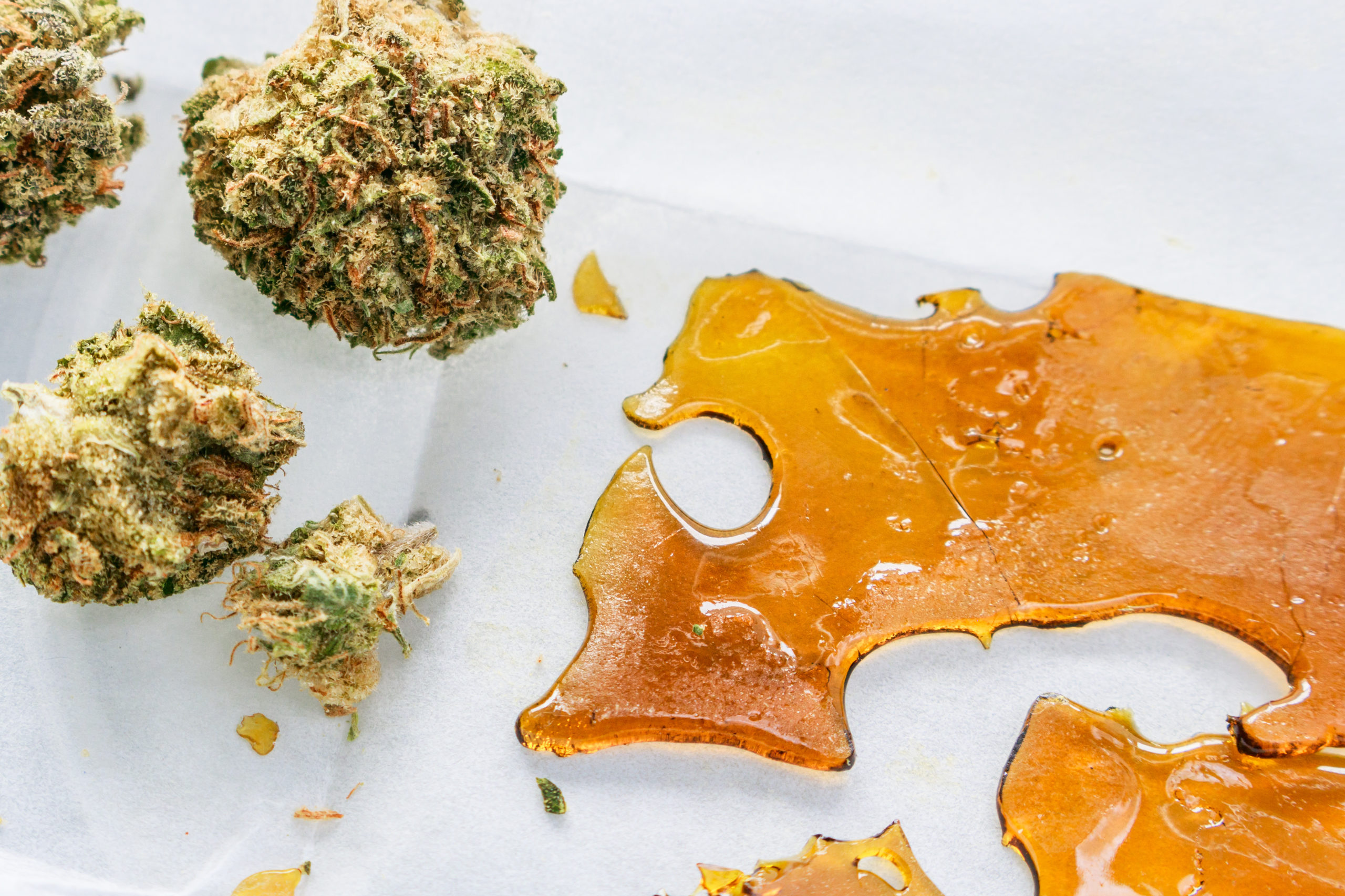 Proper Strains and Flexible Production Methods are Key to Maximizing Cannabis Extraction Yields.