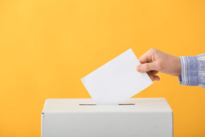 Read more about the article Election 2020: All You Need to Know About Cannabis Legalization on the Ballot.