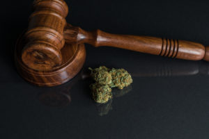 Read more about the article Sonoma County, California Expunging 2,700 Cannabis Convictions.