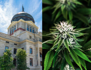 Montana House Revives Bill To Implement Marijuana Legalization After First Defeating It