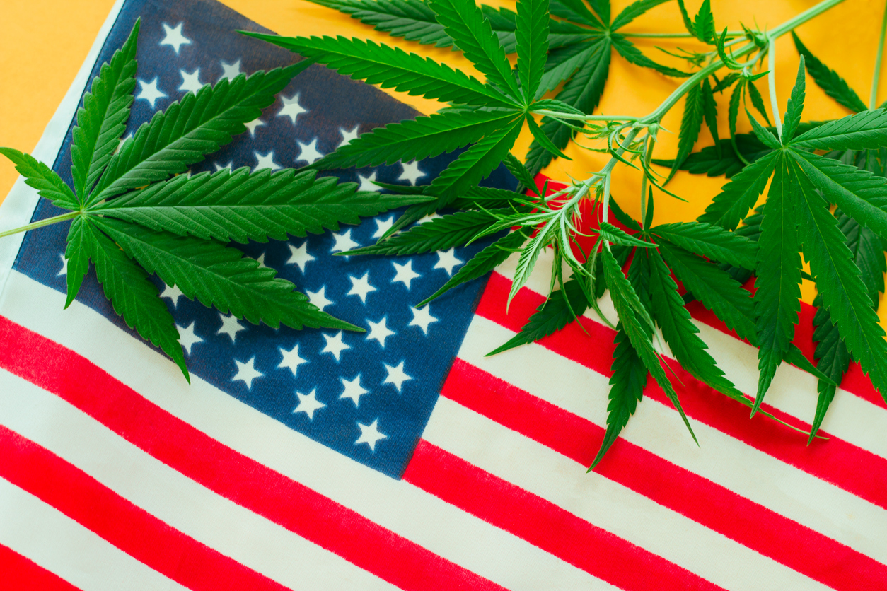 Four More States Could Still Legalize Marijuana This Year After New Mexico, New York And Virginia