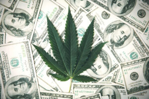 Navigating The Wave Of U.S. Cannabis Investment