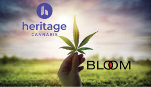Read more about the article Heritage Cannabis acquires recreational cannabis group Bloom Brands