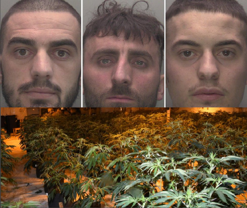 Trio who ran Lincolnshire’s ‘largest’ cannabis farm jailed