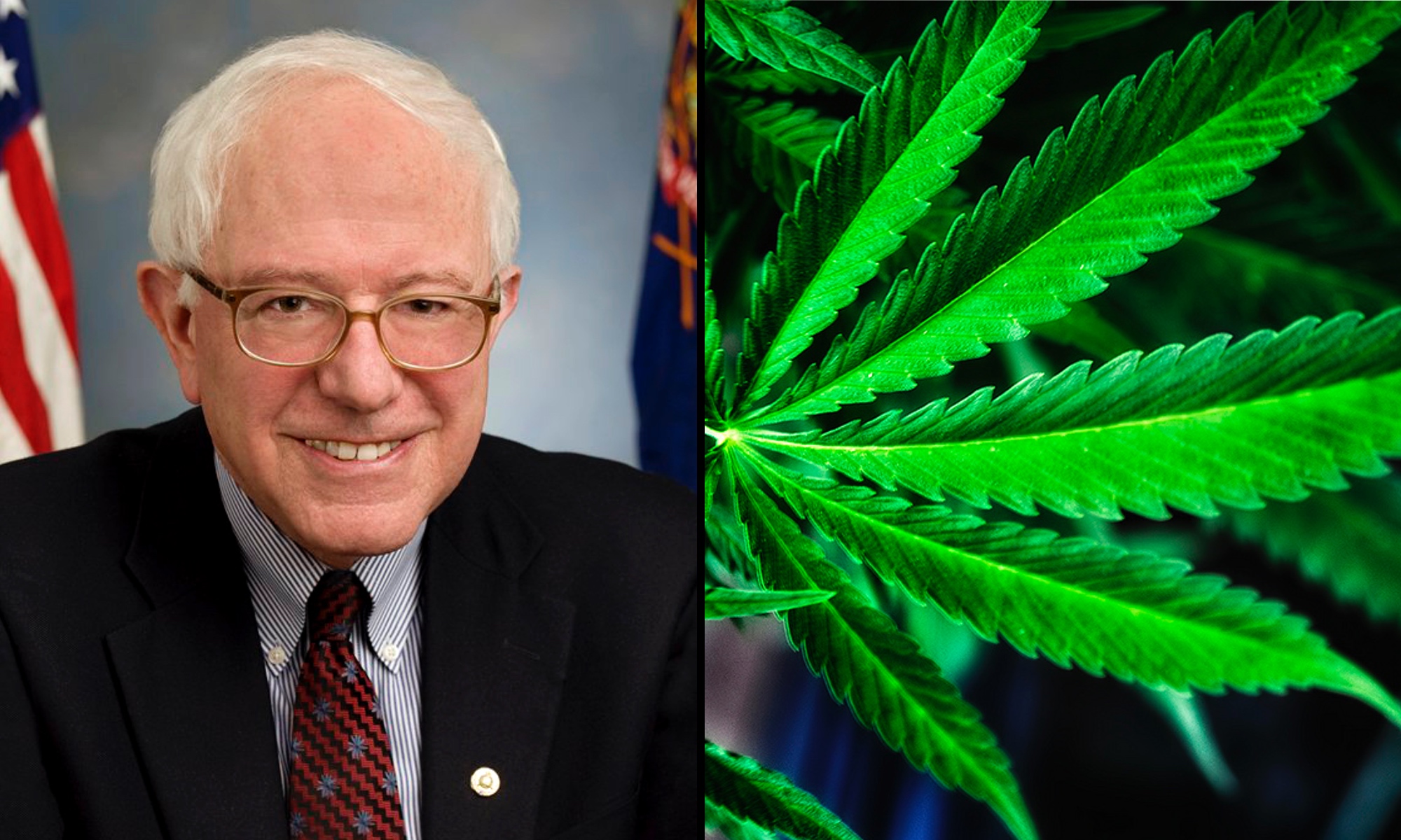 Bernie Sanders Touts ‘Progress’ On Legalizing Marijuana And Ending The Drug War