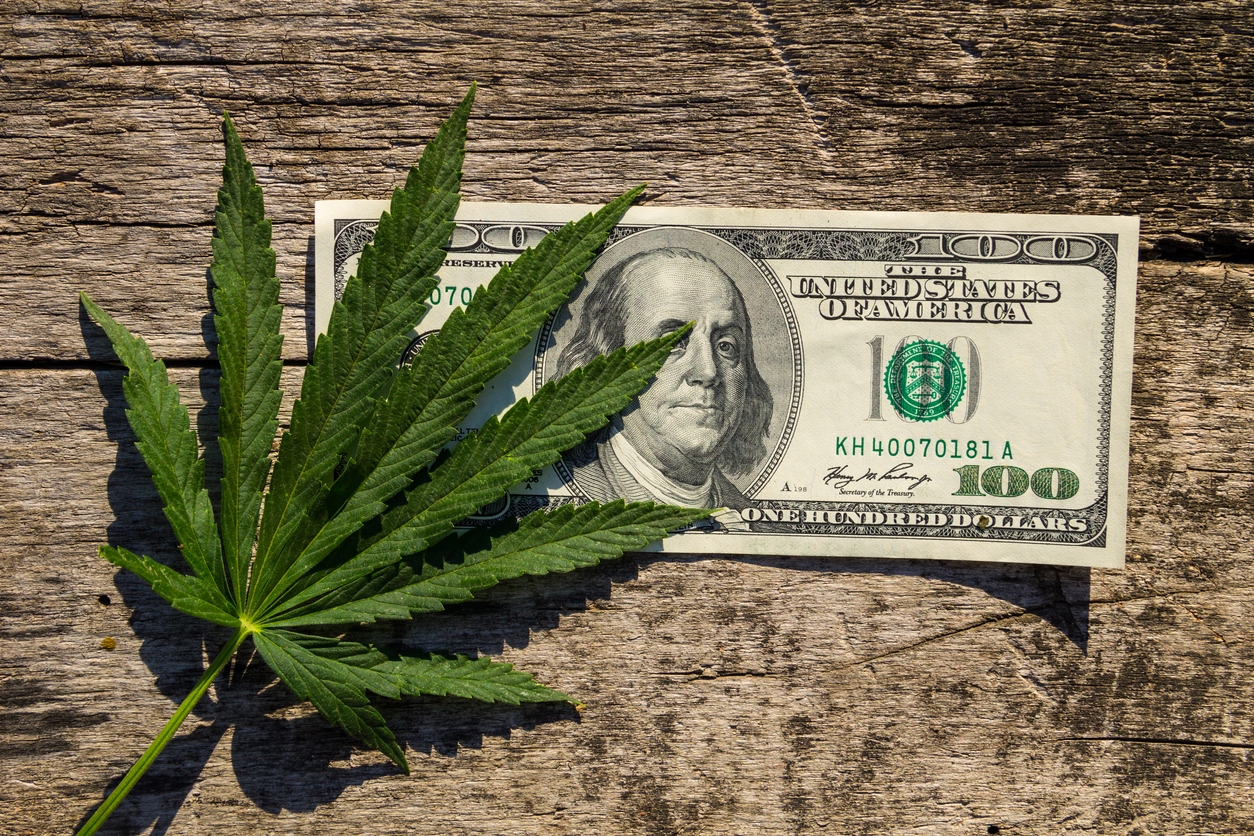 Cannabis industry jobs are on the rise, fueled by the Great Resignation