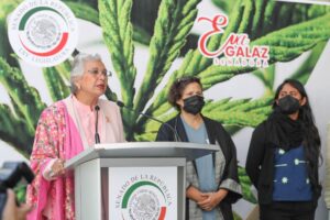 Read more about the article Top Mexican Senator Says Marijuana Legalization Bill May Be Taken Up Within Weeks