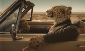 Feds Use A Confusingly Cool-Looking Cheetah For PSA Discouraging Marijuana Impaired Driving