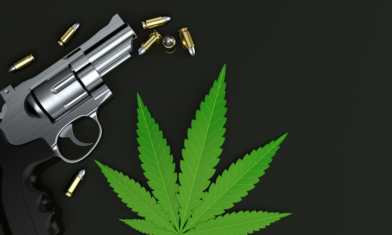 You are currently viewing Guns or marijuana, but not both