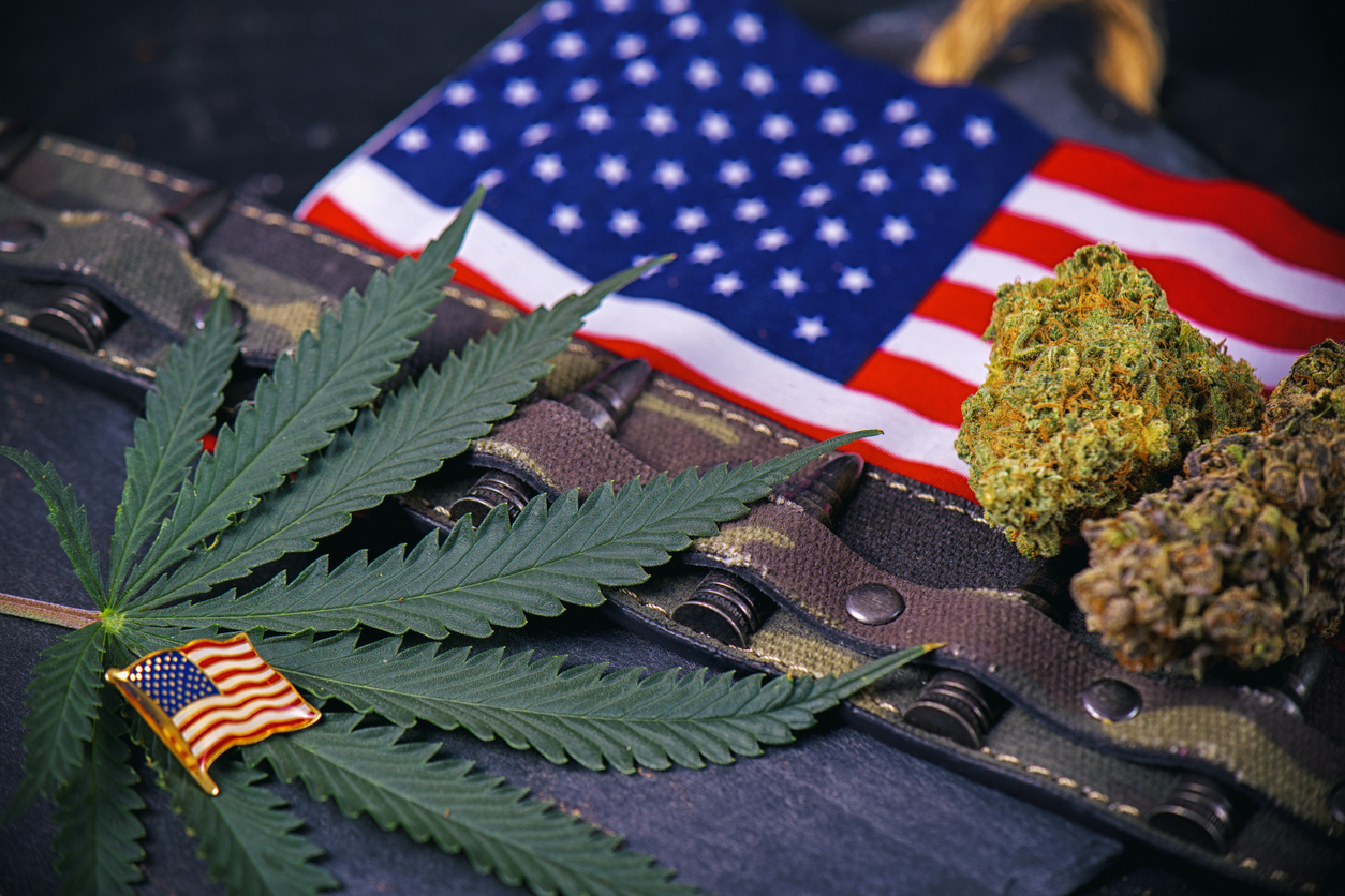 Legal Cannabis Could Become a $30 Billion US Industry in 2022. Here’s Where It Will Grow